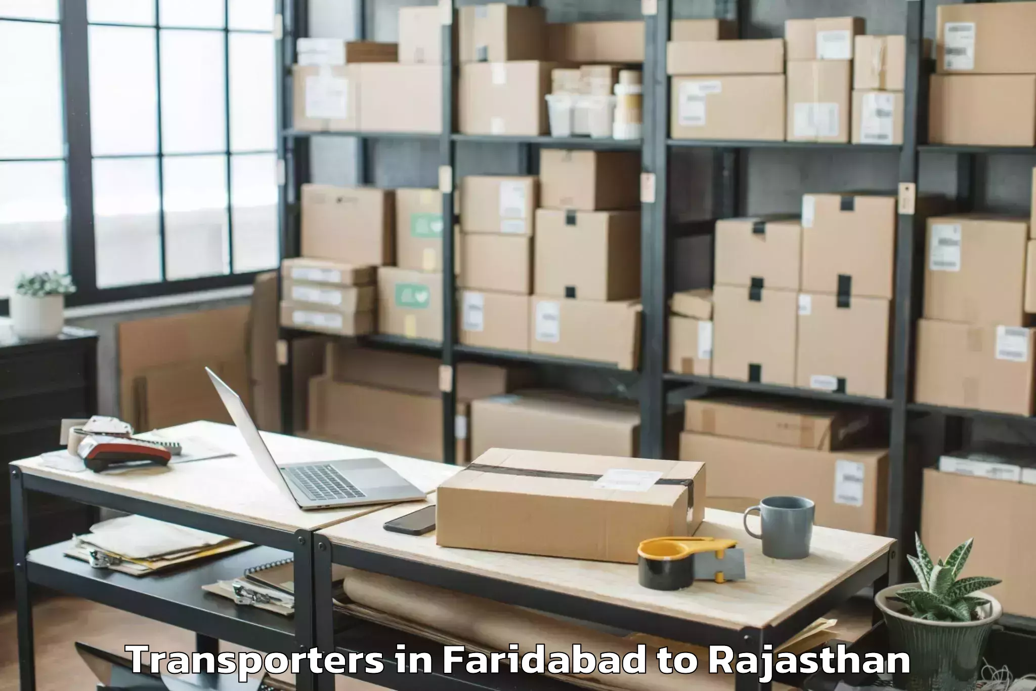 Professional Faridabad to Chittorgarh Transporters